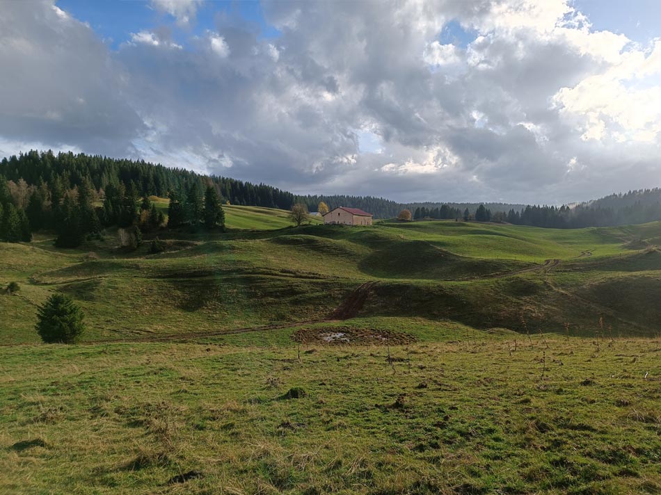 SylvoJura, en toute confiance